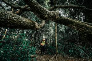 BIB: 
                            <button type="button" onclick="openModal(25706096)" class="btn btn-primary btn-sm float-right btn-popup" data-toggle="modal" data-target=".modal-high-quality">
                        <i class="fas fa-shopping-cart"></i> Add to Cart
                    </button>
                                            <button type="button" onclick="isThisMe(25706096, true)" class="btn btn-success btn-sm float-right btn-popup btn-isme hidden" data-toggle="tooltip" data-placement="bottom" title="นี่คือรูปของคุณใช่ไหม คลิกที่นี่เพื่อเอาเข้าอัลบั้ม">
                        <i class="fas fa-plus"></i> Add to album
                    </button>
                    <button type="button" onclick="isThisMe(25706096, false)" class="btn btn-warning btn-sm float-right btn-popup btn-isnotme hidden">
                        <i class="fas fa-ban"></i> Remove from album
                    </button>